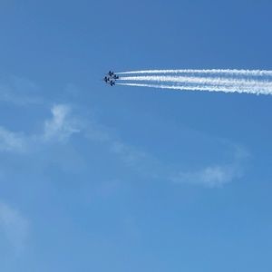 Meet your Posher, Carolyn